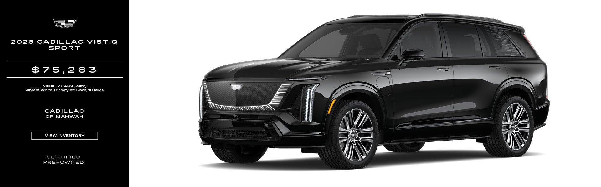 vistiq sport