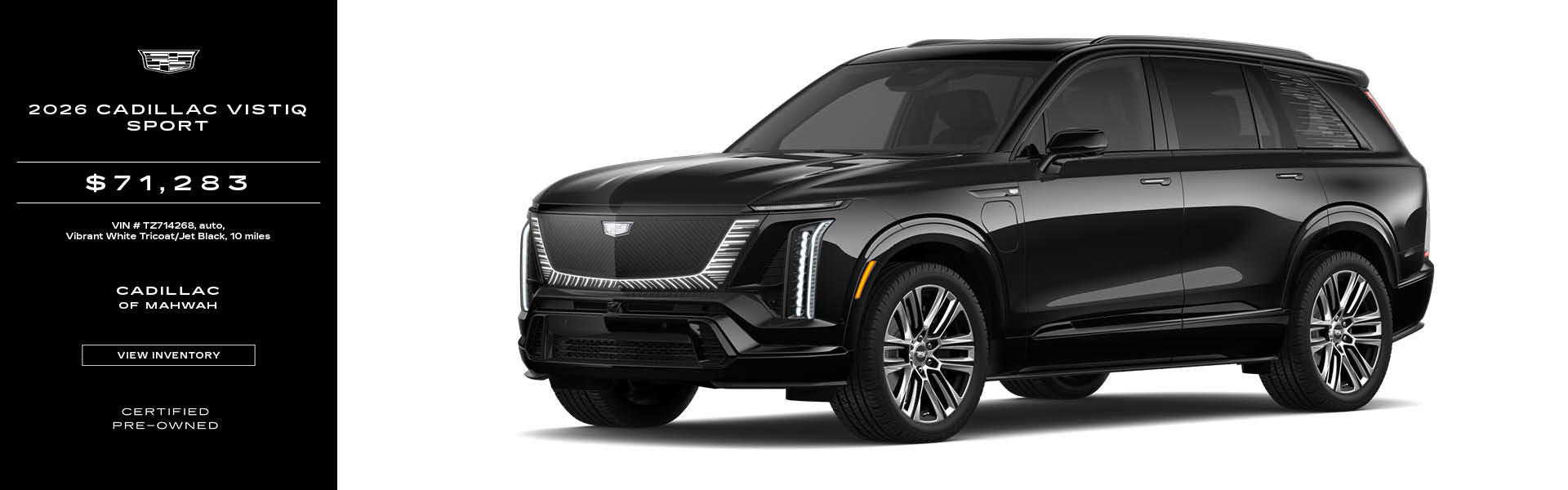 vistiq sport